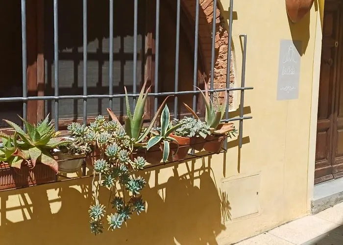 La Cicala Rosignano Marittimo