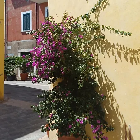 Apartment La Cicala