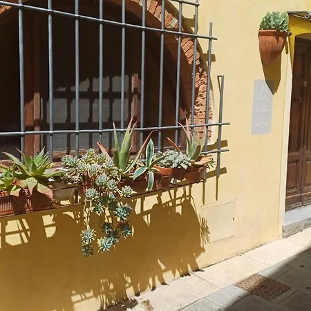 La Cicala Rosignano Marittimo