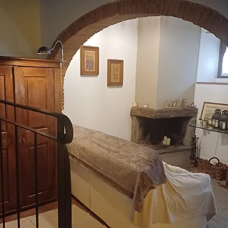 La Cicala *